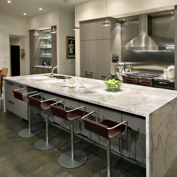 Contemporary Kitchens