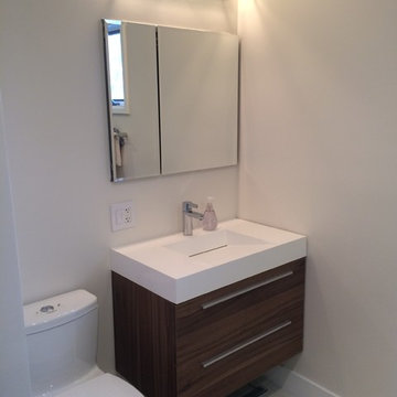 Bathroom Remodeling No. 3, Washington DC
