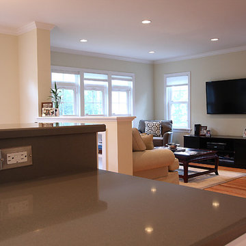 Living Room Addition