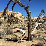 Miriam Gottfried's photo
