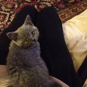 Sally Walker's photo