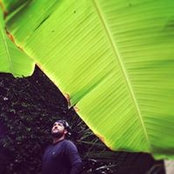 Yossi Geva's photo