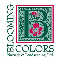 Blooming Colors Nursery & Landscaping, Ltd.