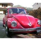 Maggiolone Cabrio's photo