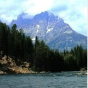 Carmen Lee's photo