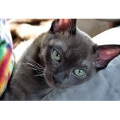 Teresa Young's photo