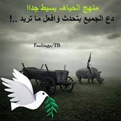 Photo de Mhadi Halabi