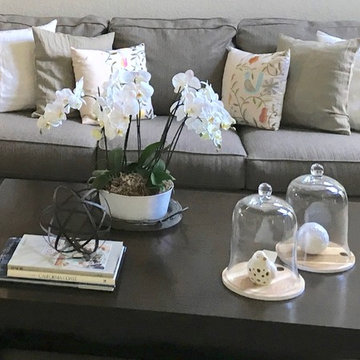 Del Mar Home Staging