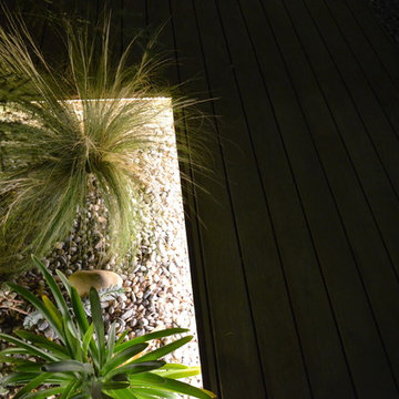 Un jardin original à Toulon