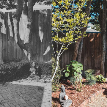 Constance Street Garden | Before & After