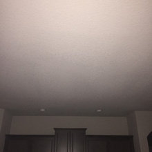 Carey's ideas