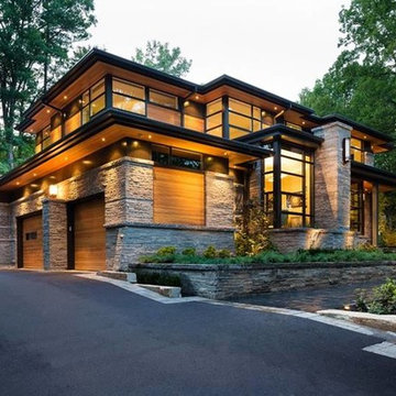 300 aspen willows