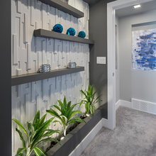 Family Room Cabinets