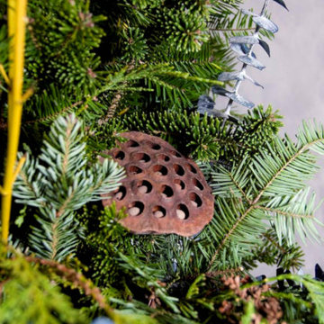 Container Pot Gardens