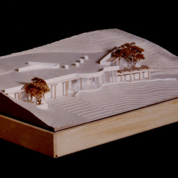 Passive Solar Earth Sheltered