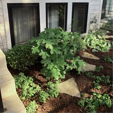 Transitional Urban Garden Design