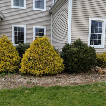 updated landscaping/ new walk in Oxford,CT