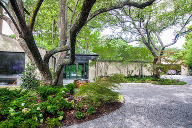 This is an example of a large contemporary shade front yard gravel landscaping in Dallas.