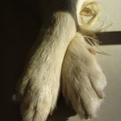 Foto de Mason Lin
