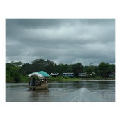 Robbie Long's photo