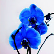 Kaitlyn Gerhart's photo