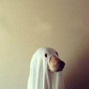 Robbie Piper's photo