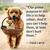 Jennifer Dempsey's photo