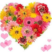 Judith Thompson's photo