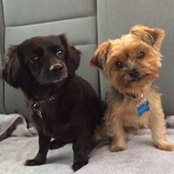 Angie Smith's photo