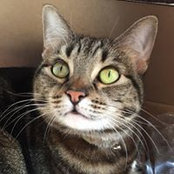 Suzanne Carlson's photo