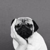Greta Perra's photo