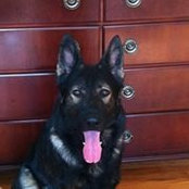 Jim Moulton's photo