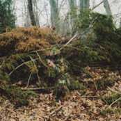 Foto von Sixpack Mitchell