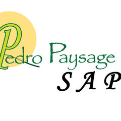 Pedro Paysage SAP