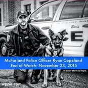 David Marling's photo