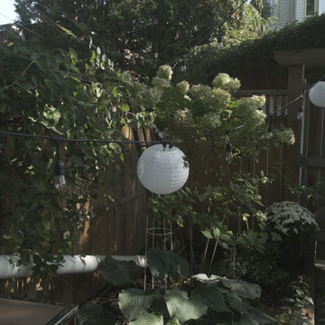 Backyard Wedding 2020