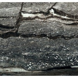 Featured Floor Tile &bull; Fall 2016 - Wall And Floor Tile