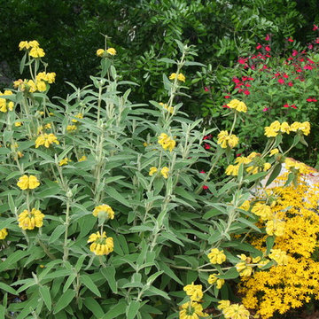 Traditional garden in Northwest Hills