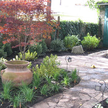 Landscape Ideas