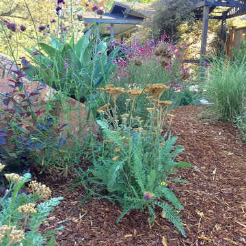Colorful Watershed Front Landscape
