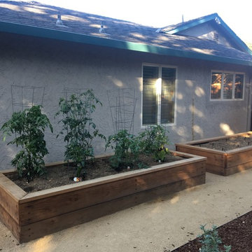 Vegetable Beds, Garden Beds