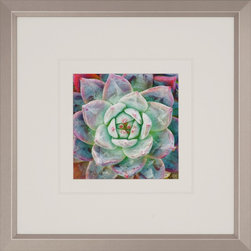 CR2 Custom Frame Collection - Picture Frames