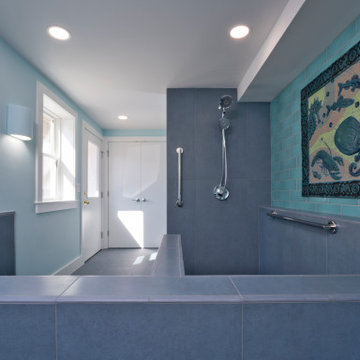 Colorful Basement and Spa Room in Petworth