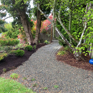 Front Yard Re-Do