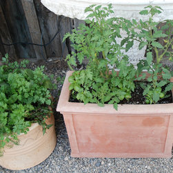 Edible Container Gardening - Outdoor Pots And Planters