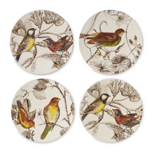 birds2014's ideas