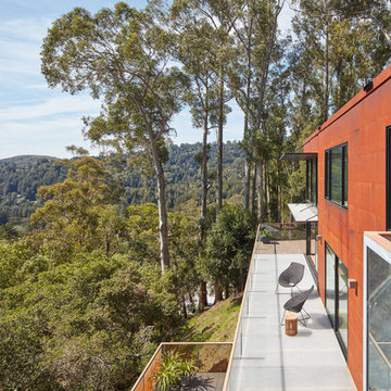 HillSide House- Mill Valley