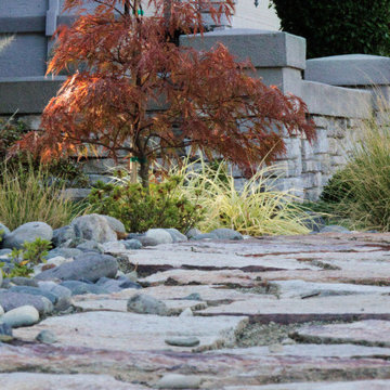 Front Yard Inspiration: Low Maintenance Design Ideas