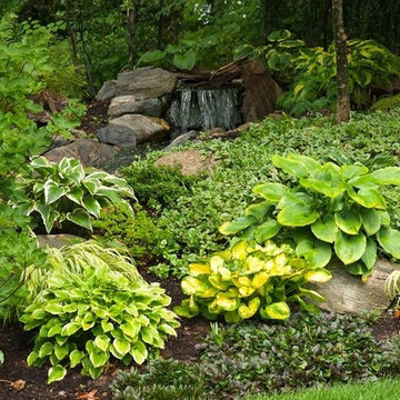 Planting on hills erosion control