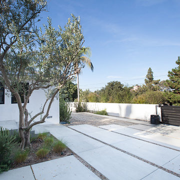 Laguna Beach Rustic Modern - Woods Cove